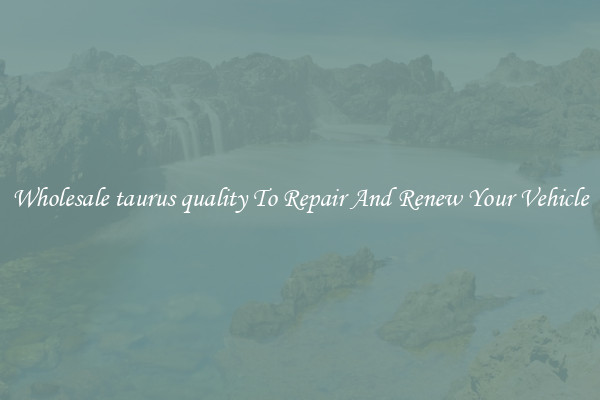 Wholesale taurus quality To Repair And Renew Your Vehicle