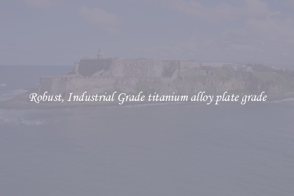Robust, Industrial Grade titanium alloy plate grade