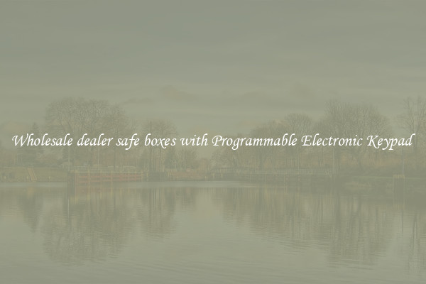 Wholesale dealer safe boxes with Programmable Electronic Keypad 