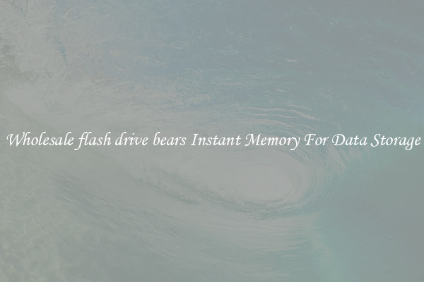 Wholesale flash drive bears Instant Memory For Data Storage