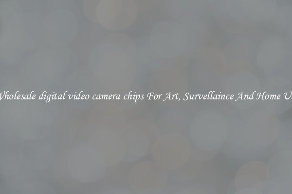 Wholesale digital video camera chips For Art, Survellaince And Home Use