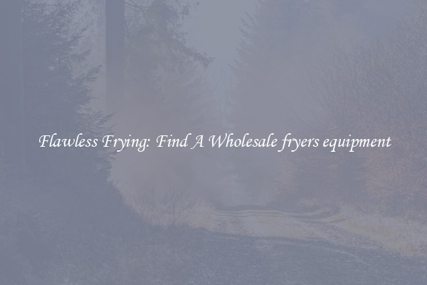 Flawless Frying: Find A Wholesale fryers equipment