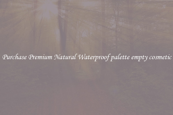 Purchase Premium Natural Waterproof palette empty cosmetic
