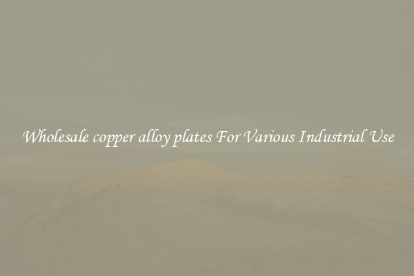 Wholesale copper alloy plates For Various Industrial Use