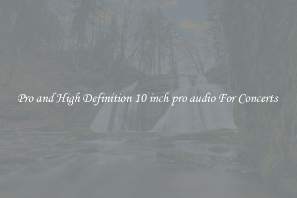 Pro and High Definition 10 inch pro audio For Concerts 