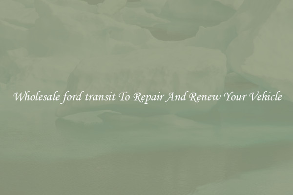 Wholesale ford transit To Repair And Renew Your Vehicle