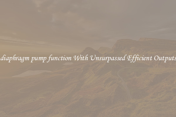 diaphragm pump function With Unsurpassed Efficient Outputs