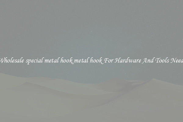 Wholesale special metal hook.metal hook For Hardware And Tools Needs