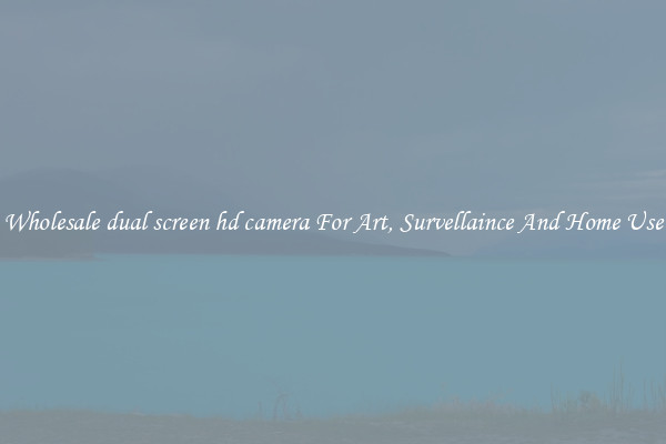 Wholesale dual screen hd camera For Art, Survellaince And Home Use