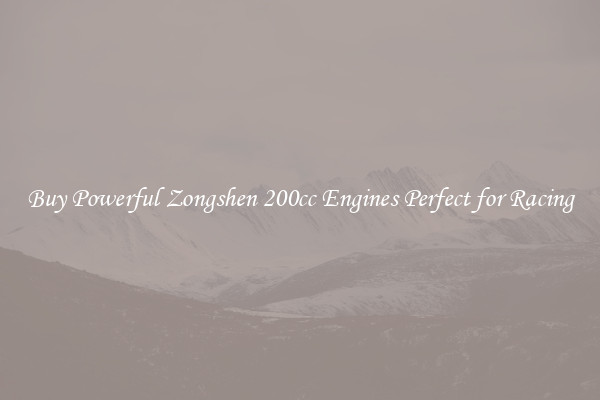 Buy Powerful Zongshen 200cc Engines Perfect for Racing