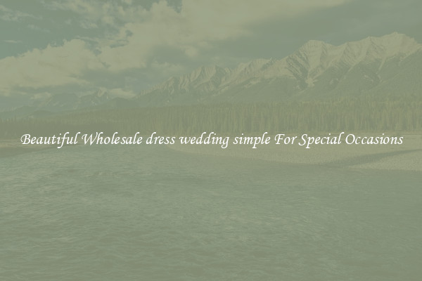 Beautiful Wholesale dress wedding simple For Special Occasions