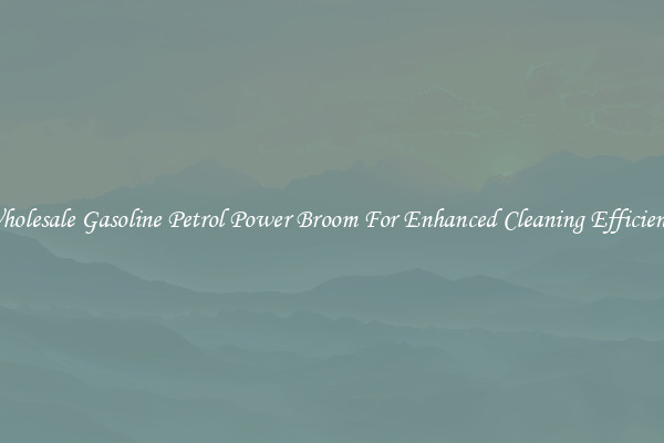 Wholesale Gasoline Petrol Power Broom For Enhanced Cleaning Efficiency