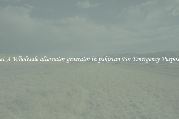 Get A Wholesale alternator generator in pakistan For Emergency Purposes