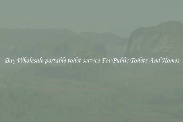 Buy Wholesale portable toilet service For Public Toilets And Homes