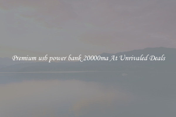 Premium usb power bank 20000ma At Unrivaled Deals