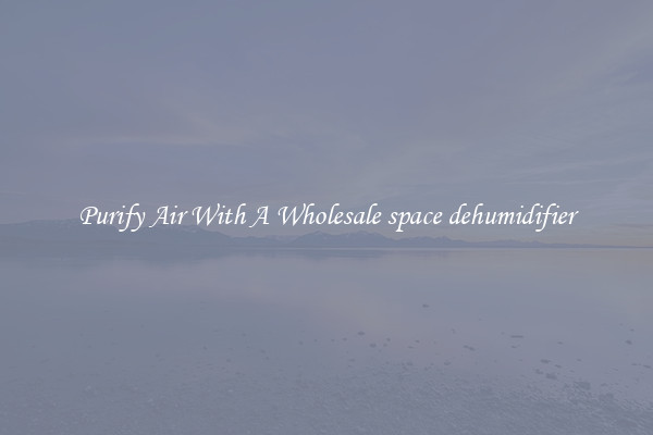 Purify Air With A Wholesale space dehumidifier