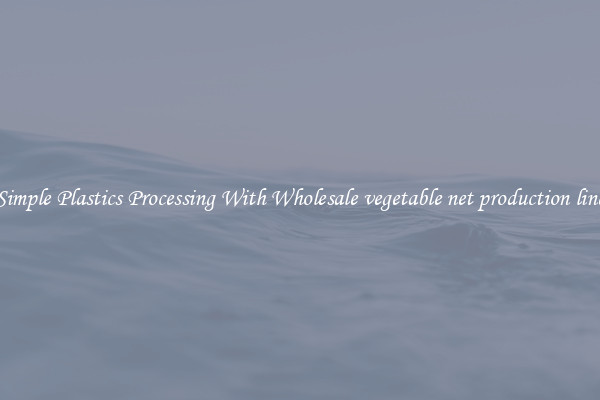 Simple Plastics Processing With Wholesale vegetable net production line